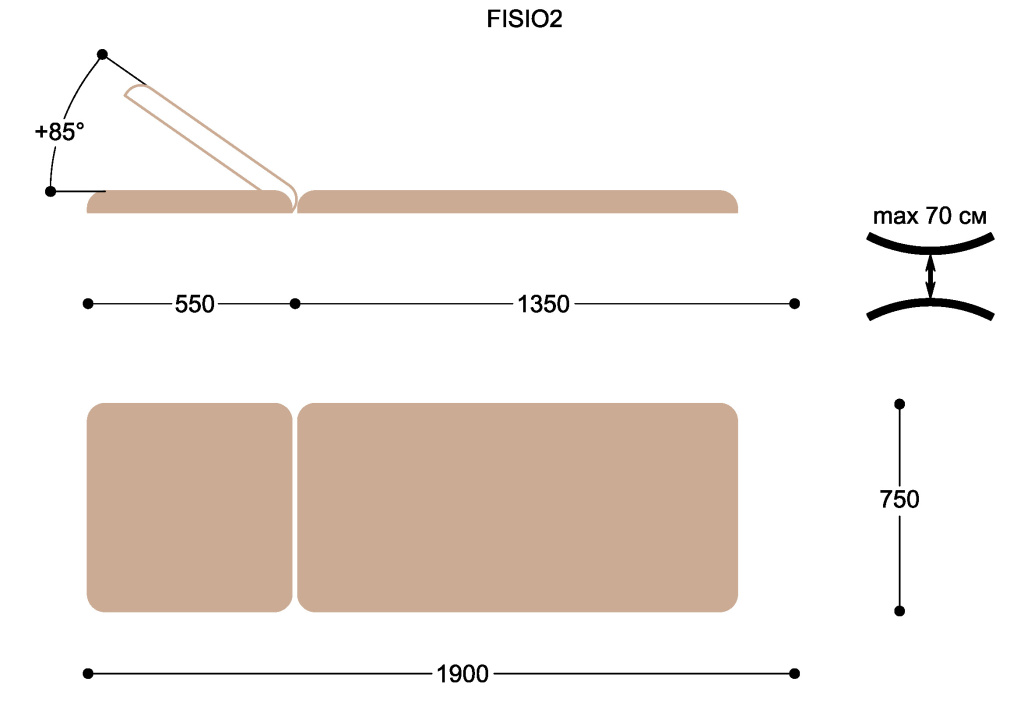 FISIO2.jpg FISIO2.jpg